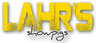 Lahr's Showpigs